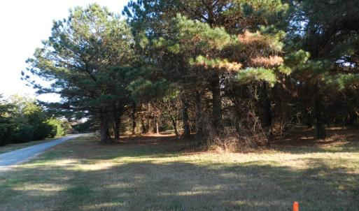 Photo #13 of Lot 3&X BARLOW CREEK LN., EASTVILLE, VA 5.0 acres