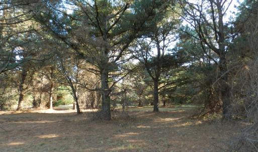 Photo #14 of Lot 3&X BARLOW CREEK LN., EASTVILLE, VA 5.0 acres