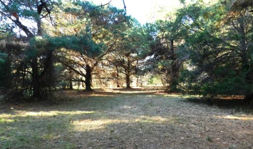 Photo #17 of Lot 3&X BARLOW CREEK LN., EASTVILLE, VA 5.0 acres