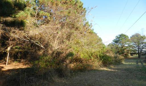 Photo #19 of Lot 3&X BARLOW CREEK LN., EASTVILLE, VA 5.0 acres
