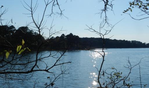 Photo #25 of Lot 3&X BARLOW CREEK LN., EASTVILLE, VA 5.0 acres