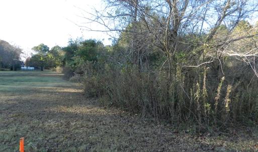 Photo #28 of Lot 3&X BARLOW CREEK LN., EASTVILLE, VA 5.0 acres