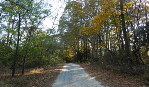 Photo #29 of Lot 3&X BARLOW CREEK LN., EASTVILLE, VA 5.0 acres