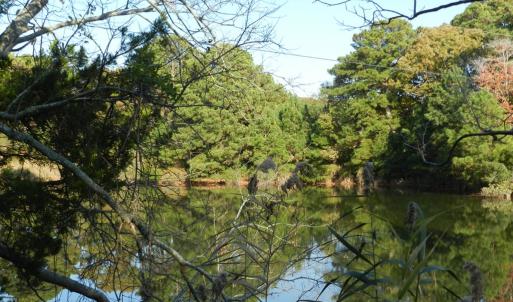 Photo #3 of Lot 3&X BARLOW CREEK LN., EASTVILLE, VA 5.0 acres