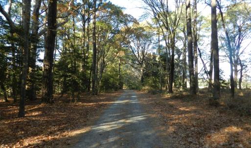 Photo #30 of Lot 3&X BARLOW CREEK LN., EASTVILLE, VA 5.0 acres
