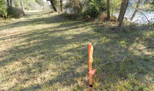 Photo #4 of Lot 3&X BARLOW CREEK LN., EASTVILLE, VA 5.0 acres