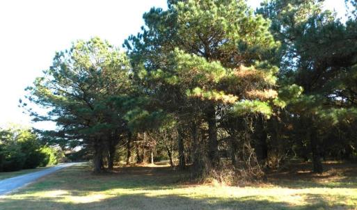 Photo #5 of Lot 3&X BARLOW CREEK LN., EASTVILLE, VA 5.0 acres