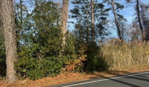 Photo #2 of 3 RIDGE RD, CHINCOTEAGUE, VA 0.2 acres