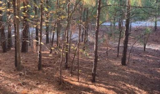 Photo #2 of CHERRY HILL RD, ACCOMAC, VA 7.0 acres