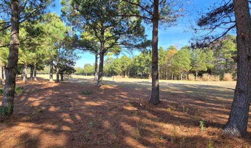 Photo #11 of 100 GOLDEN BEAR CIRCLE, CAPE CHARLES, VA 0.3 acres