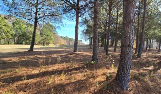 Photo #5 of 100 GOLDEN BEAR CIRCLE, CAPE CHARLES, VA 0.3 acres