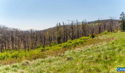 Photo #1 of Lot 16 HOWARDSVILLE TPKE, AFTON, VA 6.3 acres