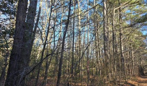 Photo #3 of AIRPORT DR, MELFA, VA 5.0 acres