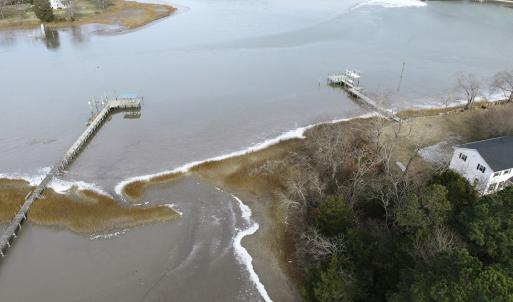 Photo #8 of Lt 11/12 OLD NECK RD, EXMORE, VA 3.9 acres