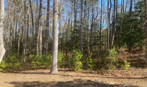 Photo #2 of Lot 69 SCARBURGH LANE, HORNTOWN, VA 3.3 acres