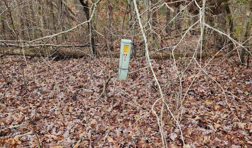 Photo #1 of TBD UNION HILL RD, BUCKINGHAM, VA 5.7 acres