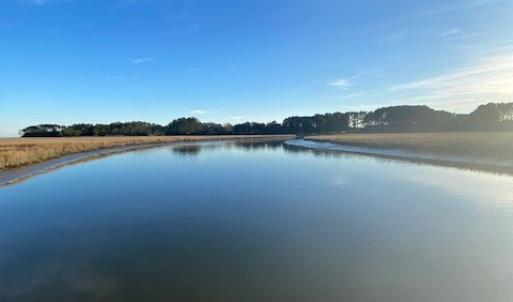 Photo #5 of lot 11 BARNES CIR, PARKSLEY, VA 1.2 acres