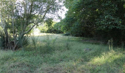 Portion of side yard