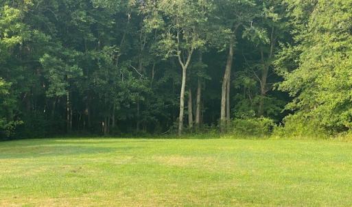 Photo #5 of 32128 CHINCOTEAGUE RD, NEW CHURCH, VA 0.7 acres