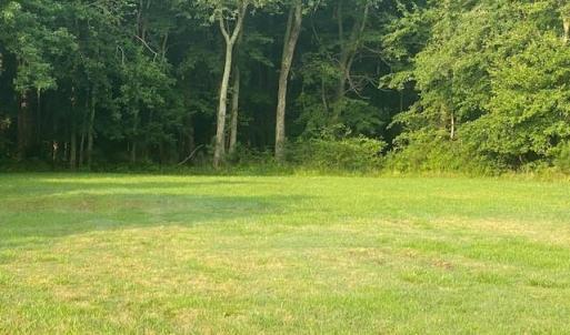 Photo #7 of 32128 CHINCOTEAGUE RD, NEW CHURCH, VA 0.7 acres