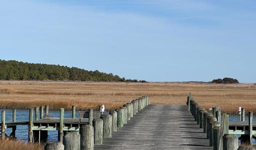 Photo #4 of Lot 43 JUNO COURT, ACCOMAC, VA 3.2 acres