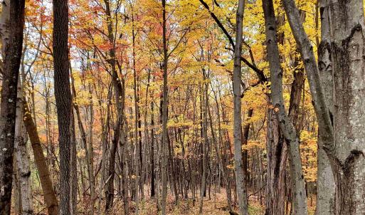 Photo #35 of 3 CROWN RIDGE BERRY FARM RD, STAUNTON, VA 17.8 acres