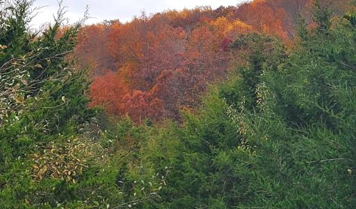 Photo #36 of 3 CROWN RIDGE BERRY FARM RD, STAUNTON, VA 17.8 acres