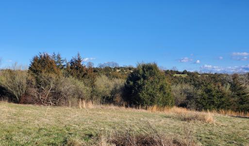 Photo #22 of 3 CROWN RIDGE BERRY FARM RD, STAUNTON, VA 17.8 acres