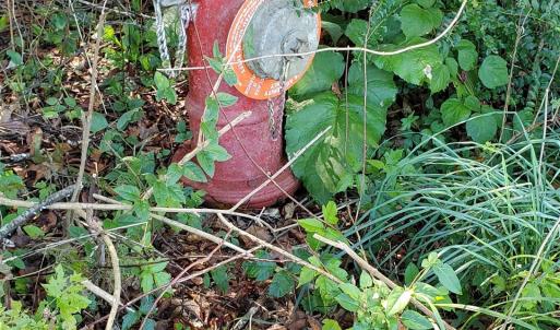 Public water through the Augusta County Service Authority is available for connection for a fee of approximately $4,000