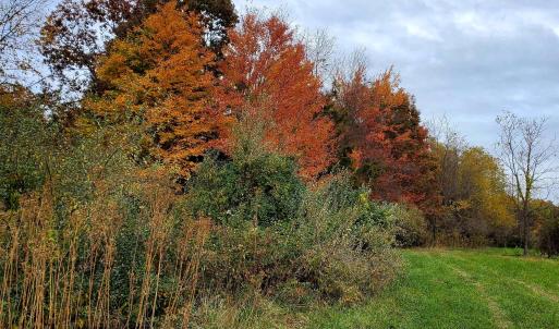 Photo #37 of 3 CROWN RIDGE BERRY FARM RD, STAUNTON, VA 17.8 acres