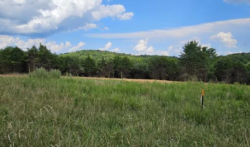 Photo #15 of 3 CROWN RIDGE BERRY FARM RD, STAUNTON, VA 17.8 acres
