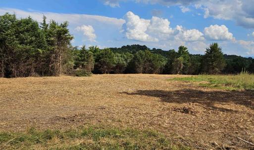 Photo #31 of 3 CROWN RIDGE BERRY FARM RD, STAUNTON, VA 17.8 acres