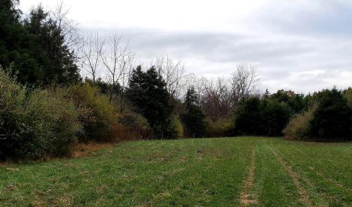 Photo #12 of 3 CROWN RIDGE BERRY FARM RD, STAUNTON, VA 17.8 acres