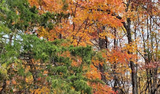 Photo #34 of 3 CROWN RIDGE BERRY FARM RD, STAUNTON, VA 17.8 acres