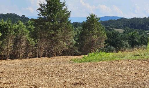 Photo #4 of 3 CROWN RIDGE BERRY FARM RD, STAUNTON, VA 17.8 acres