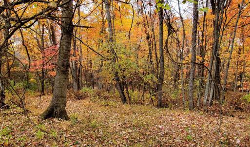 Photo #32 of 3 CROWN RIDGE BERRY FARM RD, STAUNTON, VA 17.8 acres