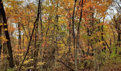 Photo #39 of 3 CROWN RIDGE BERRY FARM RD, STAUNTON, VA 17.8 acres