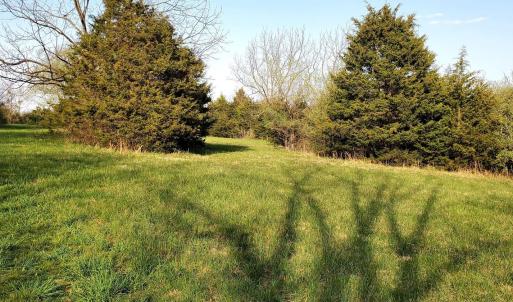 Photo #18 of 3 CROWN RIDGE BERRY FARM RD, STAUNTON, VA 17.8 acres