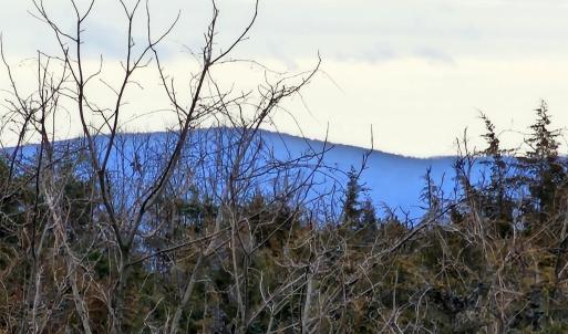 Photo #3 of 3 CROWN RIDGE BERRY FARM RD, STAUNTON, VA 17.8 acres