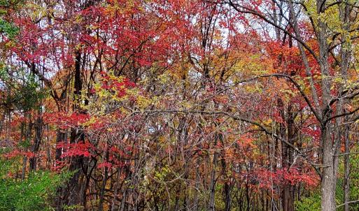Photo #40 of 3 CROWN RIDGE BERRY FARM RD, STAUNTON, VA 17.8 acres