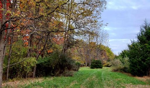 Photo #17 of 3 CROWN RIDGE BERRY FARM RD, STAUNTON, VA 17.8 acres