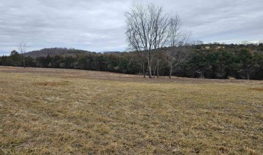 Photo #28 of 3 CROWN RIDGE BERRY FARM RD, STAUNTON, VA 17.8 acres