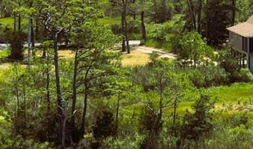 Photo #10 of 11 WILDCAT LN, CHINCOTEAGUE, VA 3.7 acres