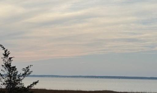 Photo #3 of 11 WILDCAT LN, CHINCOTEAGUE, VA 3.7 acres