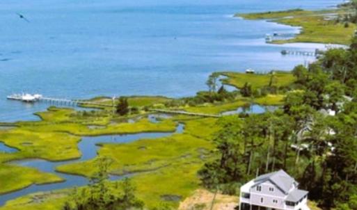 Photo #7 of 11 WILDCAT LN, CHINCOTEAGUE, VA 3.7 acres