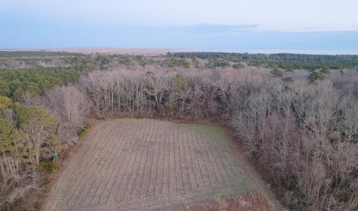 Photo #10 of Parcel Y WEBB ISLAND DR, MACHIPONGO, VA 187.4 acres