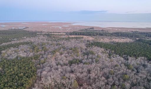 Photo #11 of Parcel Y WEBB ISLAND DR, MACHIPONGO, VA 187.4 acres