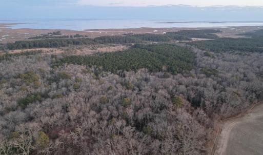 Photo #12 of Parcel Y WEBB ISLAND DR, MACHIPONGO, VA 187.4 acres