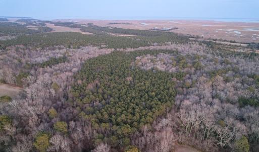 Photo #13 of Parcel Y WEBB ISLAND DR, MACHIPONGO, VA 187.4 acres