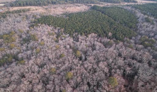 Photo #14 of Parcel Y WEBB ISLAND DR, MACHIPONGO, VA 187.4 acres